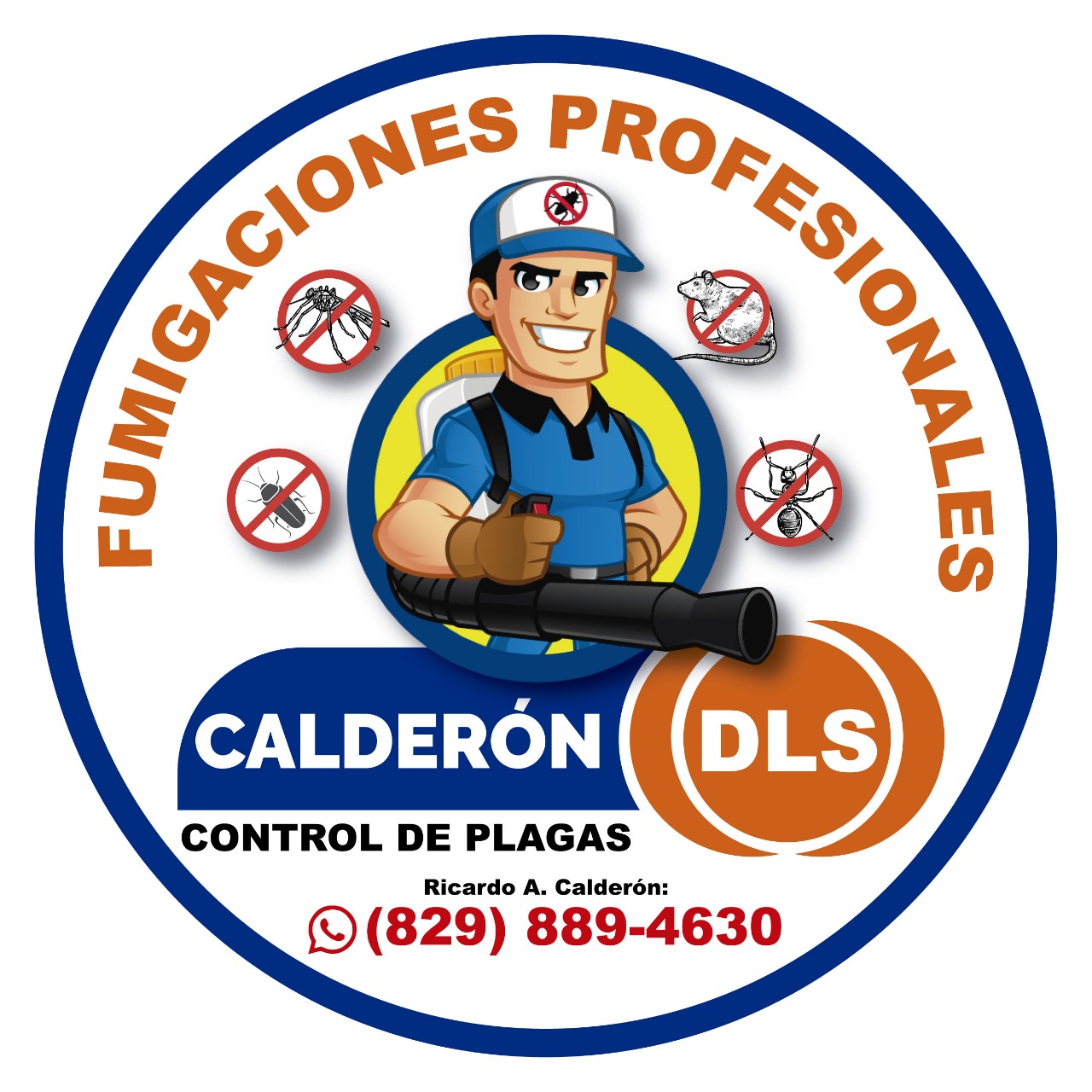 Calderon DLS